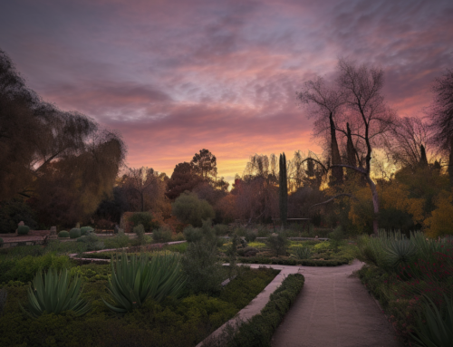 Jardín Botánico Arganzuela, alojamiento