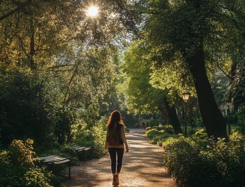 Parques y jardines en Madrid: los mejores espacios verdes